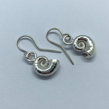 Load image into Gallery viewer, Spiral Earrings - Silver